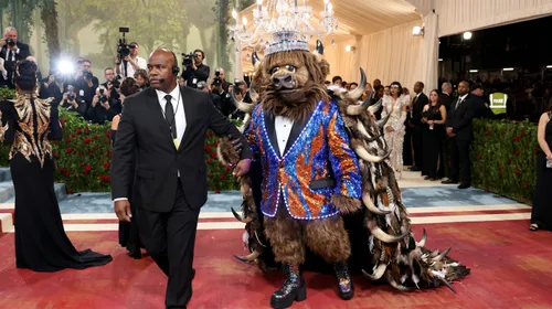 Mascots at the Met Gala, Uninvited