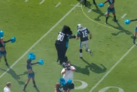 Sir Purr Has Not Left His Cat Tree Since the Panthers Fired Their Third Coach in Four Years