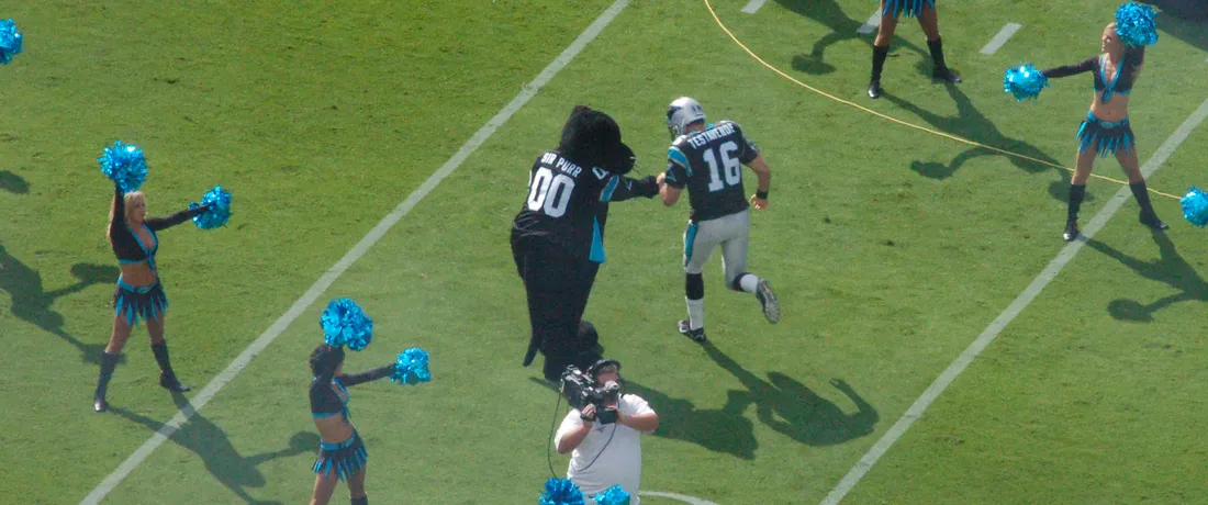 Sir Purr Has Not Left His Cat Tree Since the Panthers Fired Their Third Coach in Four Years