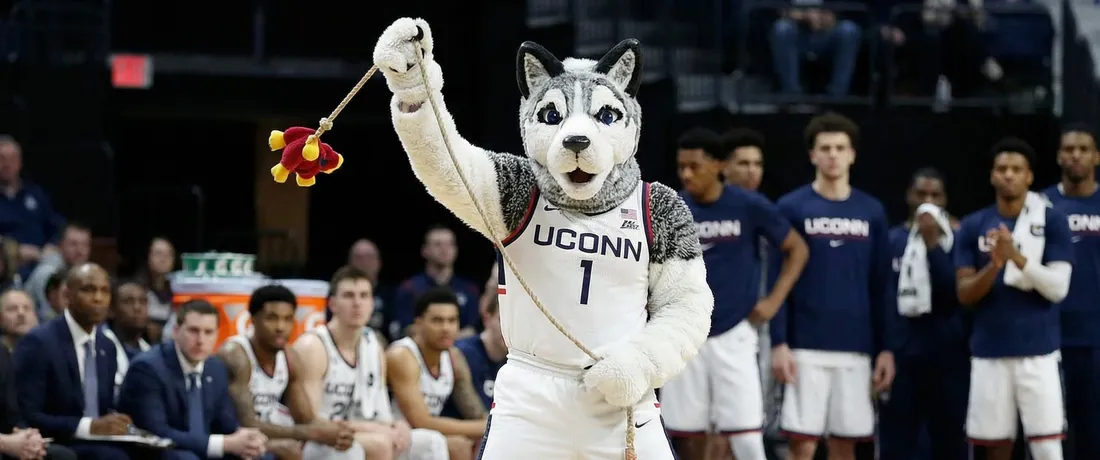 Jonathan the Husky Has Discovered Empathy. The Timing Is Not Great.